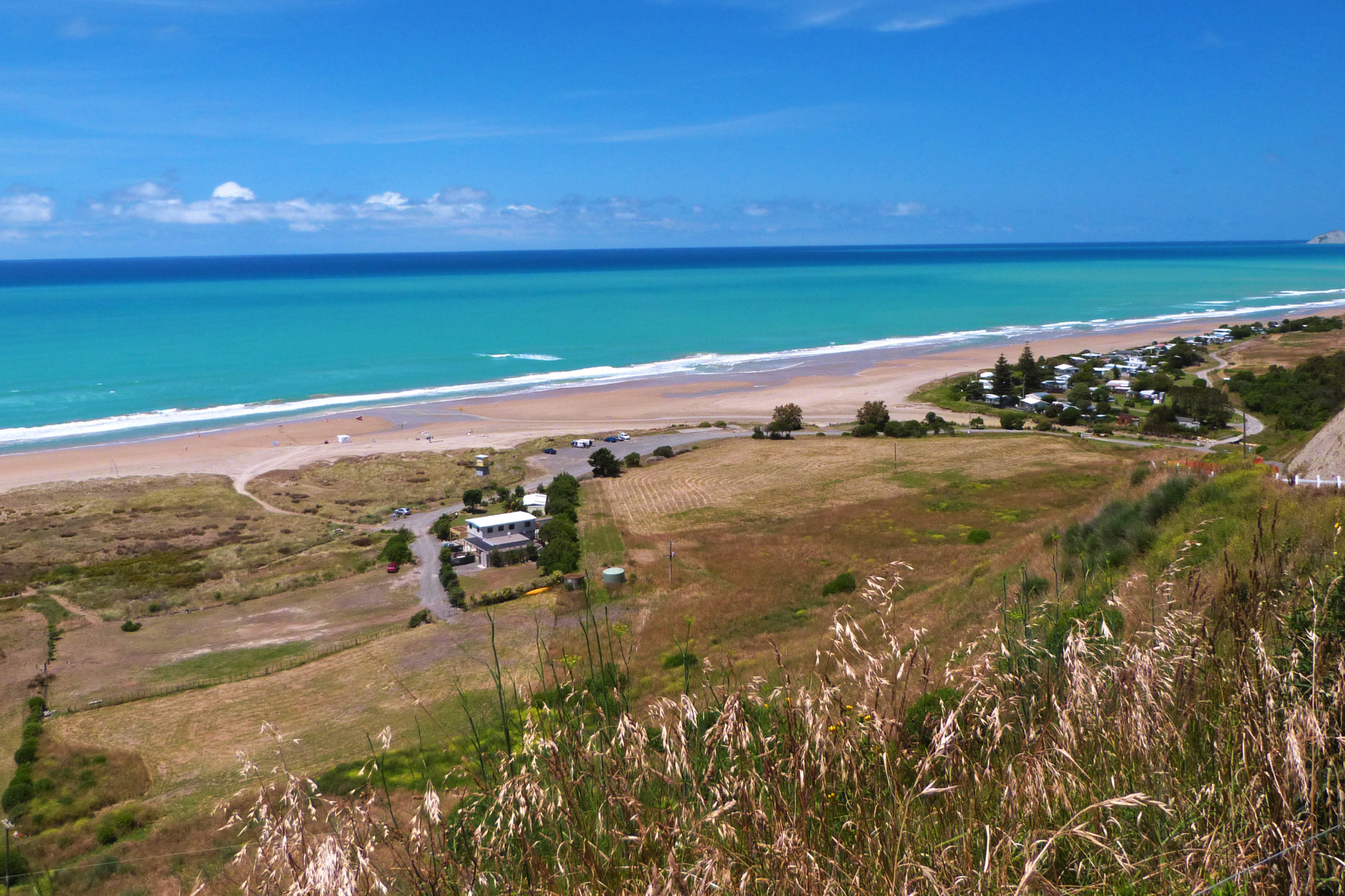 hawke's bay (2).webp